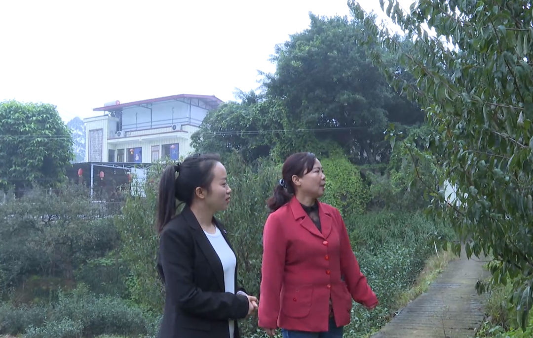 袁桢霞2.png 袁桢霞2.png