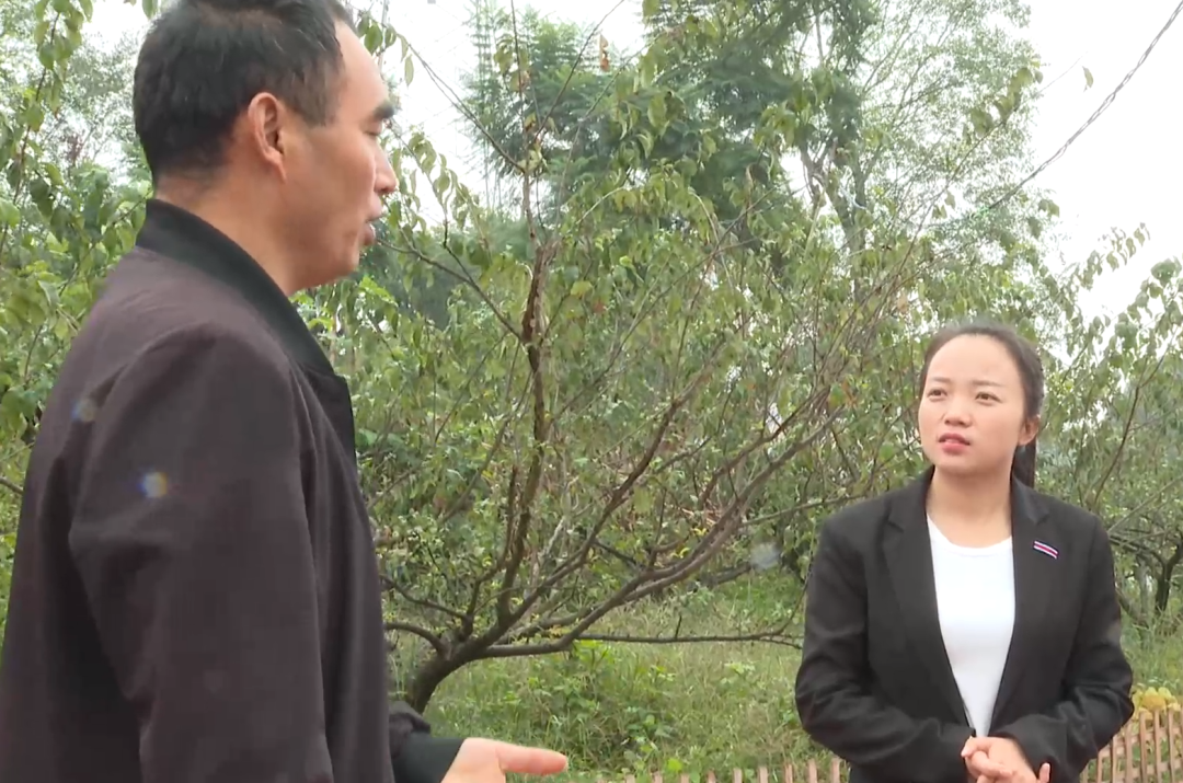 袁桢霞5.png 袁桢霞5.png