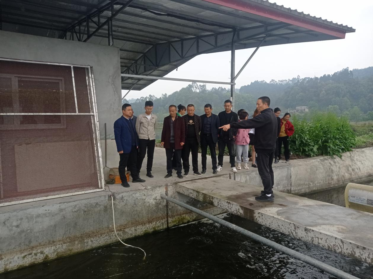 石麟镇许店儿片区“人大代表之家”开展2023年度第一季度活动 第 2 张