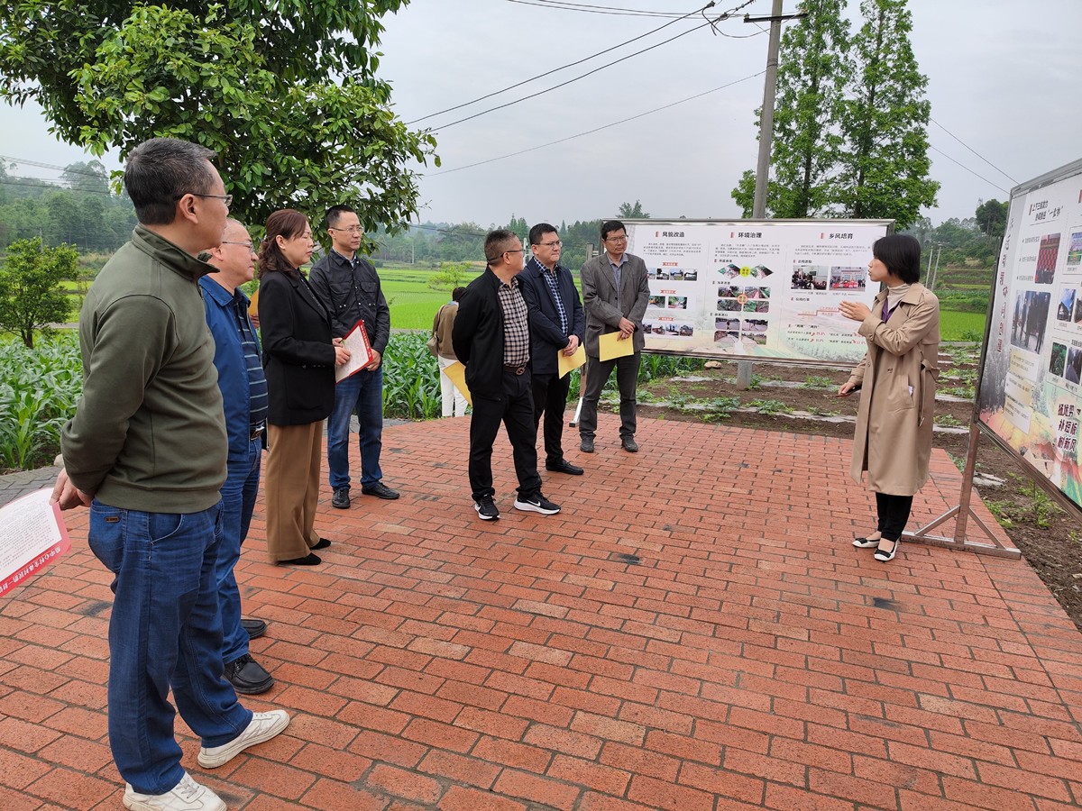 [图文]五通桥区人大常委会视察涌斯江流域景观工程改造、场镇提升、“五清”行动工作推进情况 第 1 张