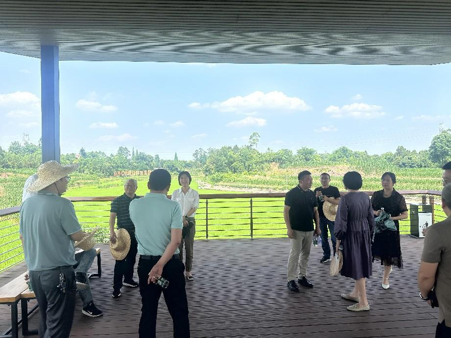 五通桥区人大常委会视察高标准农田建设情况 第 1 张