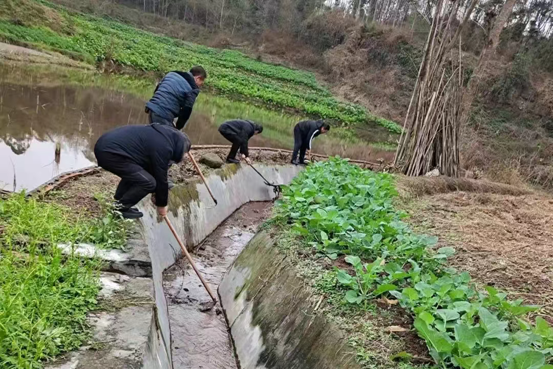 五通桥区金山镇人大:人勤不负好时节 代表助力春耕忙 五通桥区金山镇人大:人勤不负好时节 代表助力春耕忙