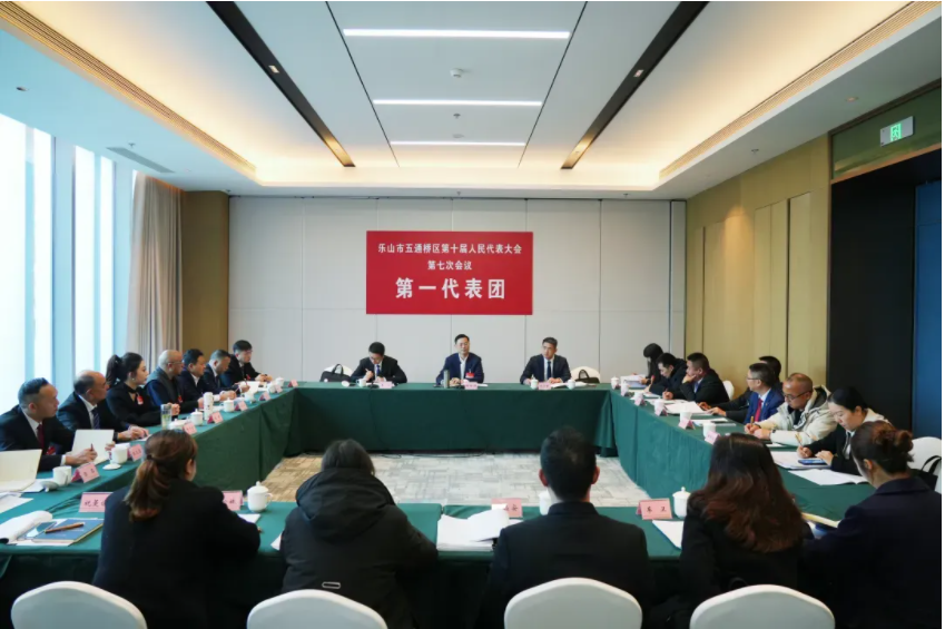  区十届人大七次会议分团审议和讨论相关工作报告